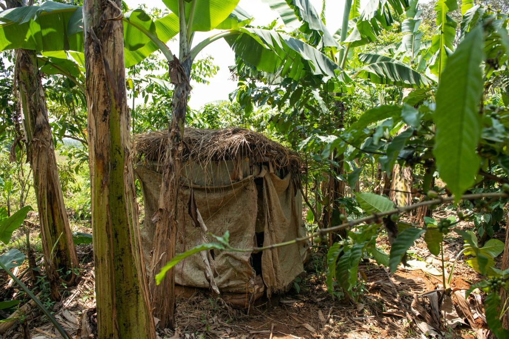 The Mitalas old latrine