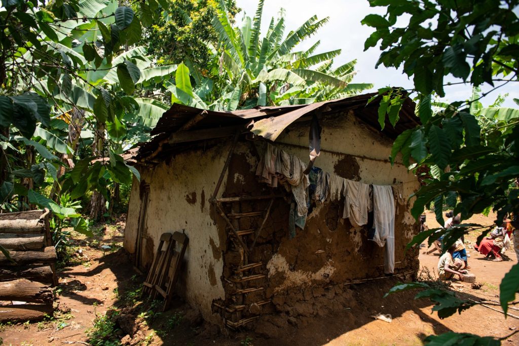 The Mitala's house
