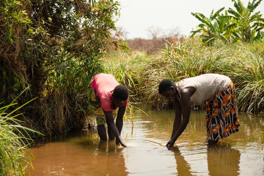 Women fetching water from a stream