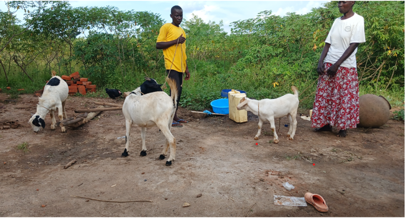 Mary stands next to her goats